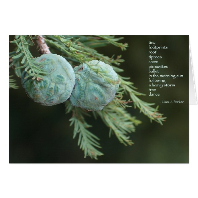 Kleine voetafdrukken met gedicht (Voorkant Horizontaal)