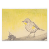 Kleine vogel foto afdruk (Voorkant)