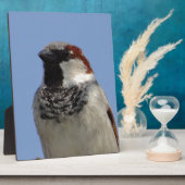 Kleine vogel fotoplaat (Zijkant)