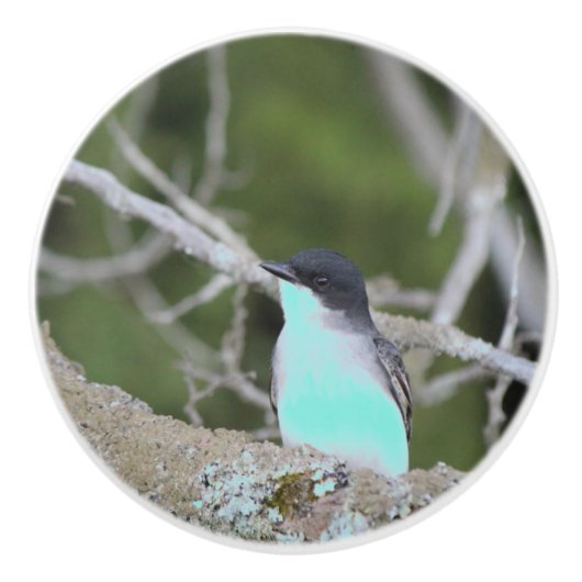 Kleine vogel in blauw en groene lade trekken keramische knop (Voorkant)