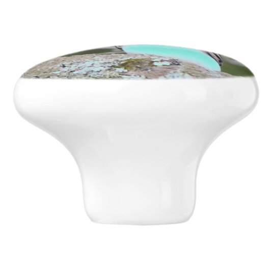 Kleine vogel in blauw en groene lade trekken keramische knop (Zijkant)