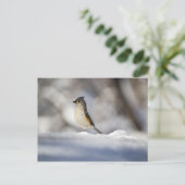 Kleine vogel in de sneeuw briefkaart (Staand voorkant)