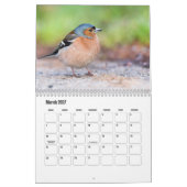 Kleine Vogel Kalender (Mar 2027)