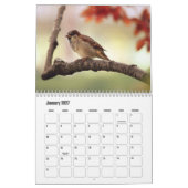 Kleine Vogel Kalender (Jan 2027)