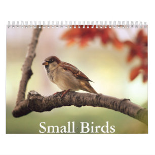 Kleine Vogel Kalender