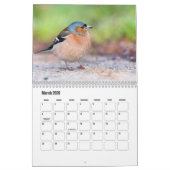 Kleine Vogel Kalender (Mar 2026)