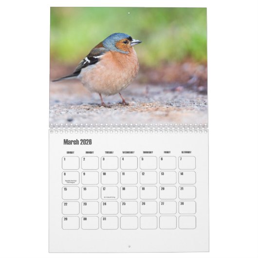 Kleine Vogel Kalender (Mar 2026)