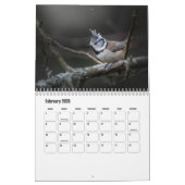 Kleine Vogel Kalender (Feb 2026)