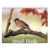 Kleine Vogel Kalender (Hoes)