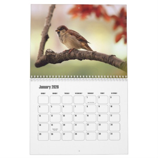 Kleine Vogel Kalender (Jan 2026)