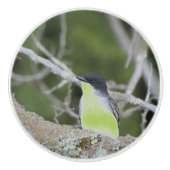 Kleine Vogel Lade Trek Keramische Knop (Voorkant)