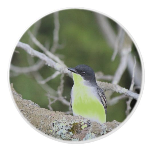 Kleine Vogel Lade Trek Keramische Knop (Voorkant)