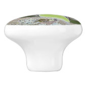 Kleine Vogel Lade Trek Keramische Knop (Zijkant)