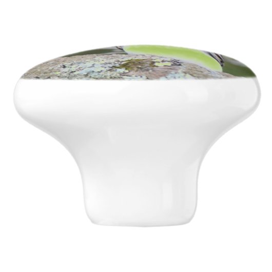 Kleine Vogel Lade Trek Keramische Knop (Zijkant)