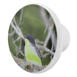 Kleine Vogel Lade Trek Keramische Knop