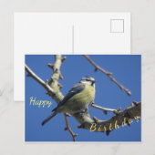 Kleine vogel met blauwe lucht verjaardagsansichtka briefkaart (Voorkant / Achterkant)
