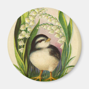 Kleine Vogel Vintage Magneet
