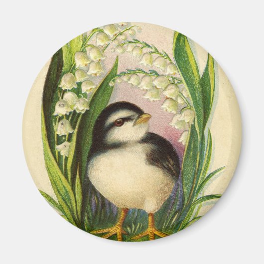 Kleine Vogel Vintage Magneet (Voorkant)