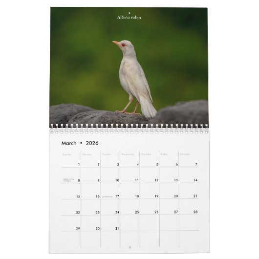 Kleine vogel (zangvogel) 2026 kalender (Mar 2026)