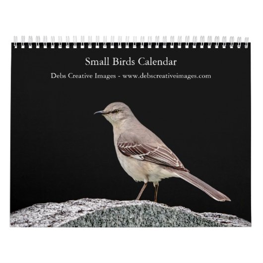 Kleine vogel (zangvogel) 2026 kalender (Hoes)