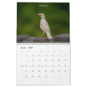 Kleine vogel (zangvogel) 2026 kalender (Mar 2027)