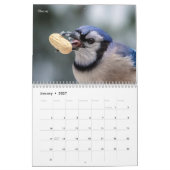 Kleine vogel (zangvogel) 2026 kalender (Jan 2027)