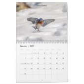 Kleine vogel (zangvogel) 2026 kalender (Feb 2027)