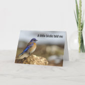 Kleine vogel zei me, wees voorzichtig met wat je w kaart (Voorkant)