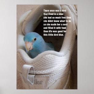 Kleine vogelblauwe papegaaiparrotlet in een schoen poster