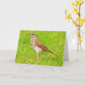 Kleine vogelpest Natuur die je denkt Kaart (Gele Bloem)