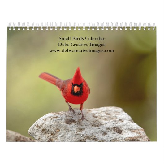 Kleine Vogels 2026 Kalender (Hoes)
