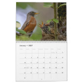 Kleine Vogels 2026 Kalender (Jan 2027)