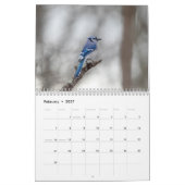 Kleine Vogels 2026 Kalender (Feb 2027)
