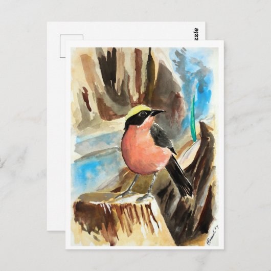 Kleine vogels #7 briefkaart (Voorkant / Achterkant)