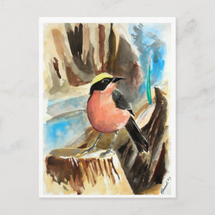 Kleine vogels #7 briefkaart