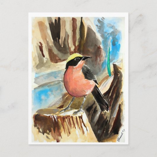 Kleine vogels #7 briefkaart (Voorkant)