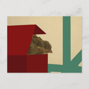 Kleine vogels briefkaart