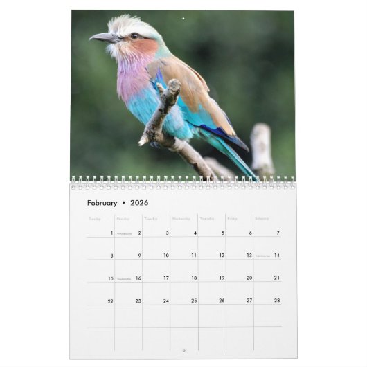 Kleine Vogels Kalender 2025 (Feb 2026)