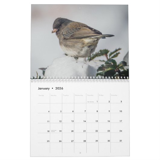 Kleine Vogels Kalender 2025 (Jan 2026)