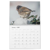 Kleine Vogels Kalender 2025 (Jan 2027)