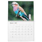 Kleine Vogels Kalender 2025 (Feb 2027)