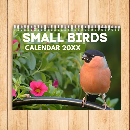 Kleine Vogels Kalender 2025