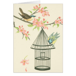 Kleine vogels op een bijkantoor en op een vogelkoo