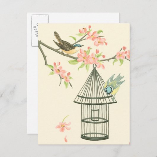 Kleine vogels op een bijkantoor en op een vogelkoo briefkaart (Voorkant / Achterkant)