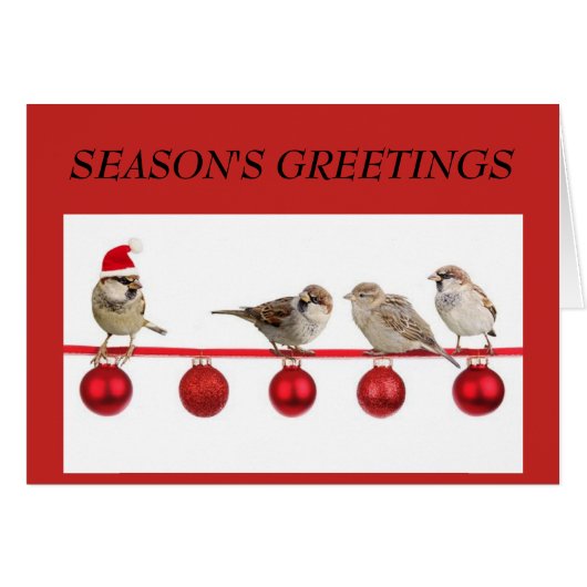 Kleine vogels op het Rode KerstWenskaart (Voorkant Horizontaal)