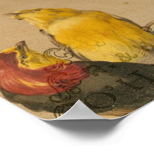  kleine  vogels poster (Hoek)