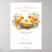 Kleine vogelveer baby shower welkomstbord poster (Voorkant)