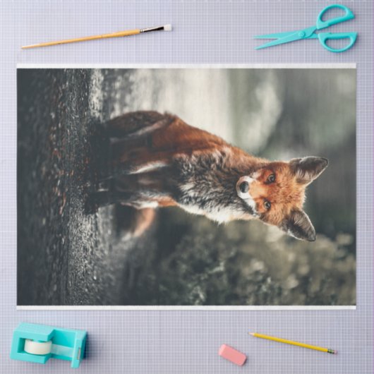 Kleine vos tissuepapier (Craft)