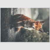 Kleine vos tissuepapier (Voorkant)