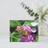 Kleine Vosvlinder & Lathyrus Briefkaart (Staand voorkant)
